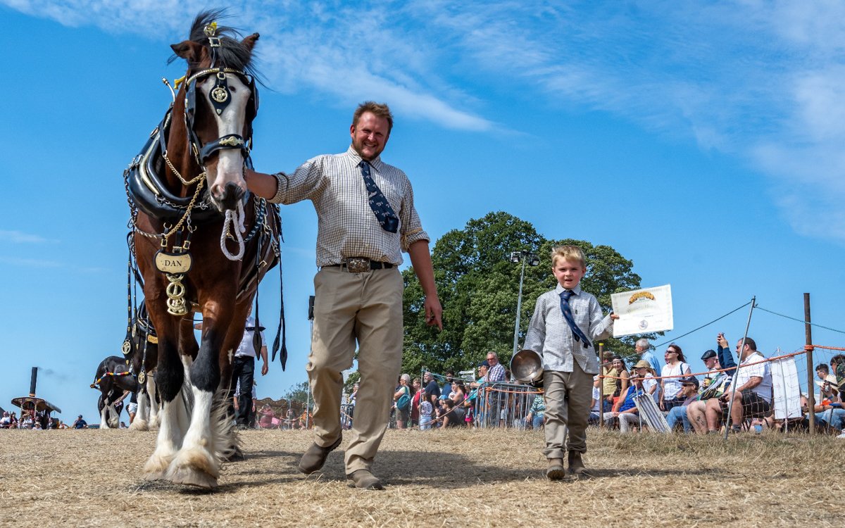 Best Working Horse - Barnacres 'Dan' - Phillip Williams